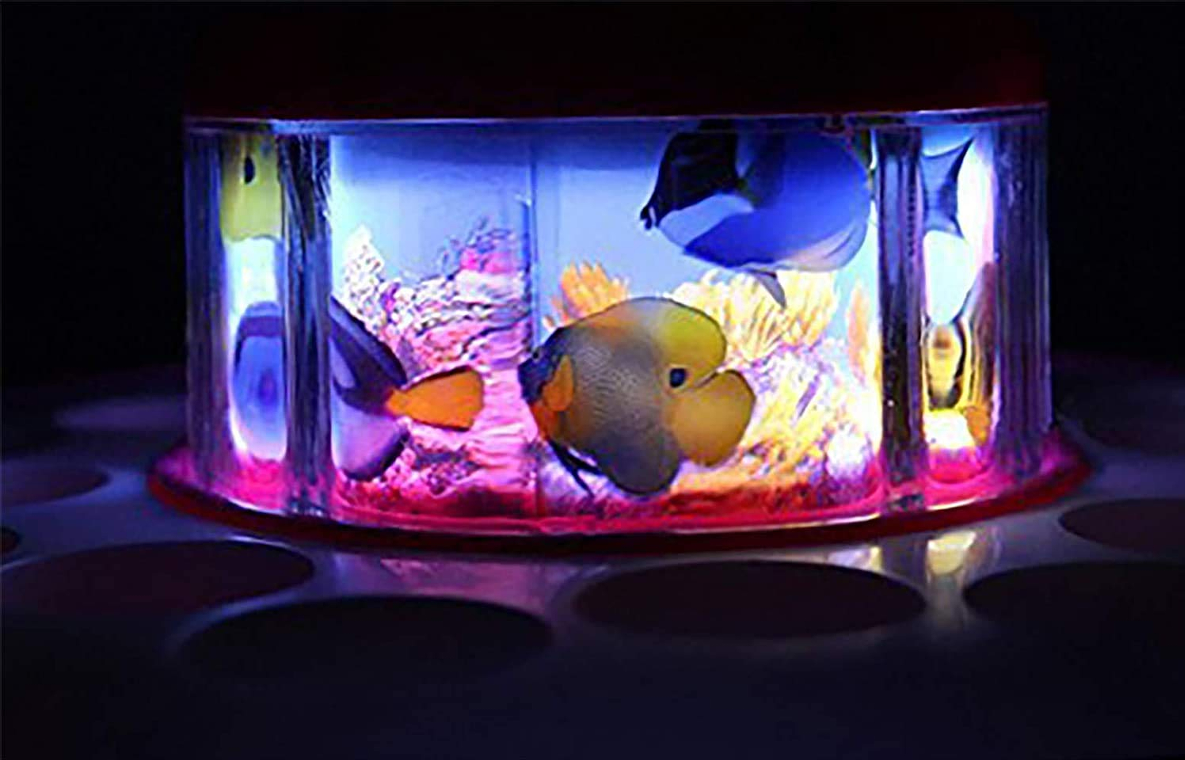 GOGO fishing (no-356) 